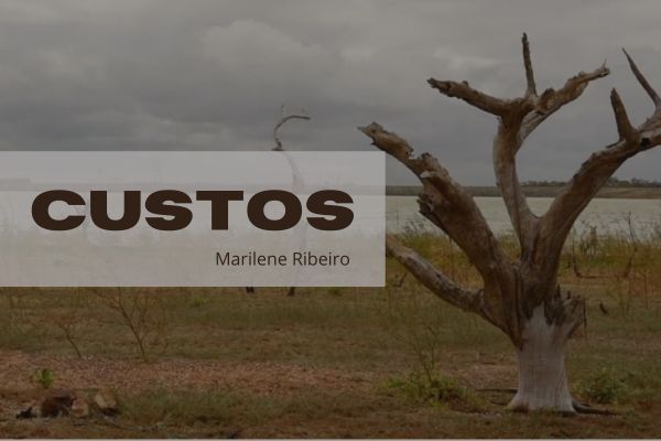 "Custos", um filme de Marilene Ribeiro