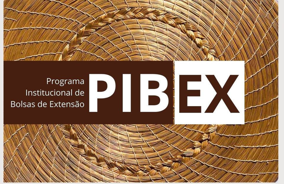 Pibex