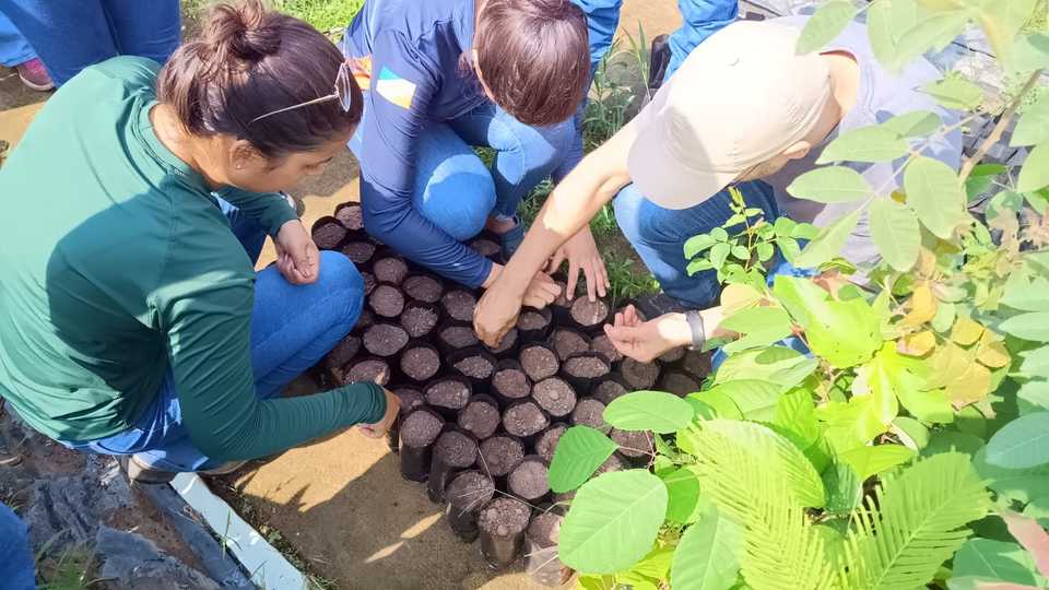 UFT se torna a primeira instituição do Brasil a receber o Selo de Acreditação do curso de Agronomia (Câmpus de Gurupi)
