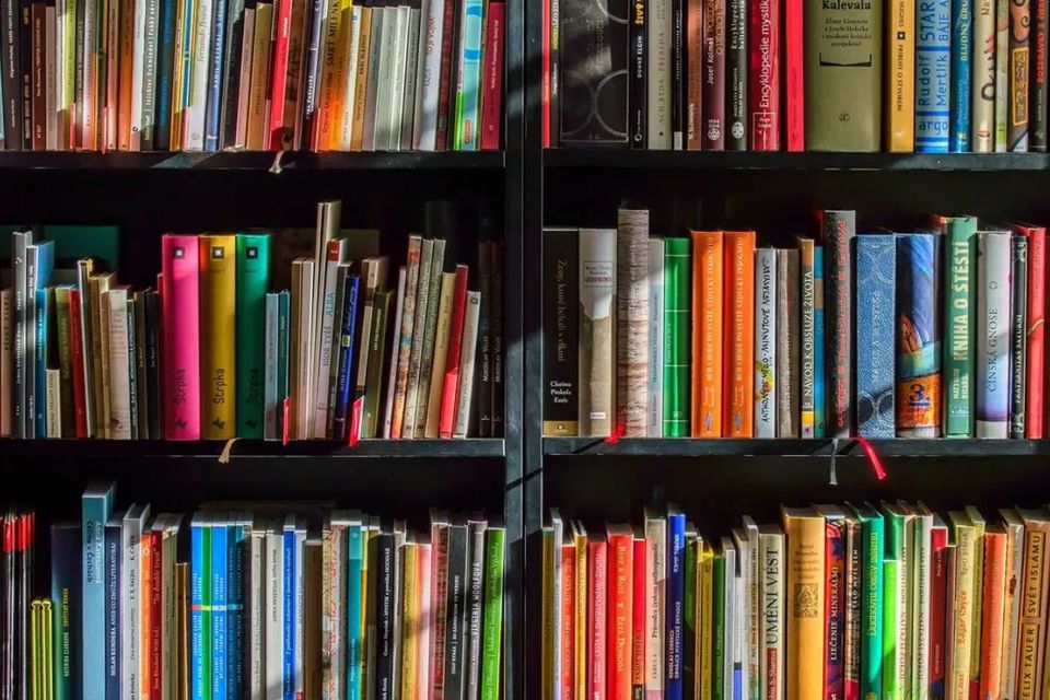 Propesq divulga lista de inscrições homologadas para renovação do Conselho Editorial da EdUFT