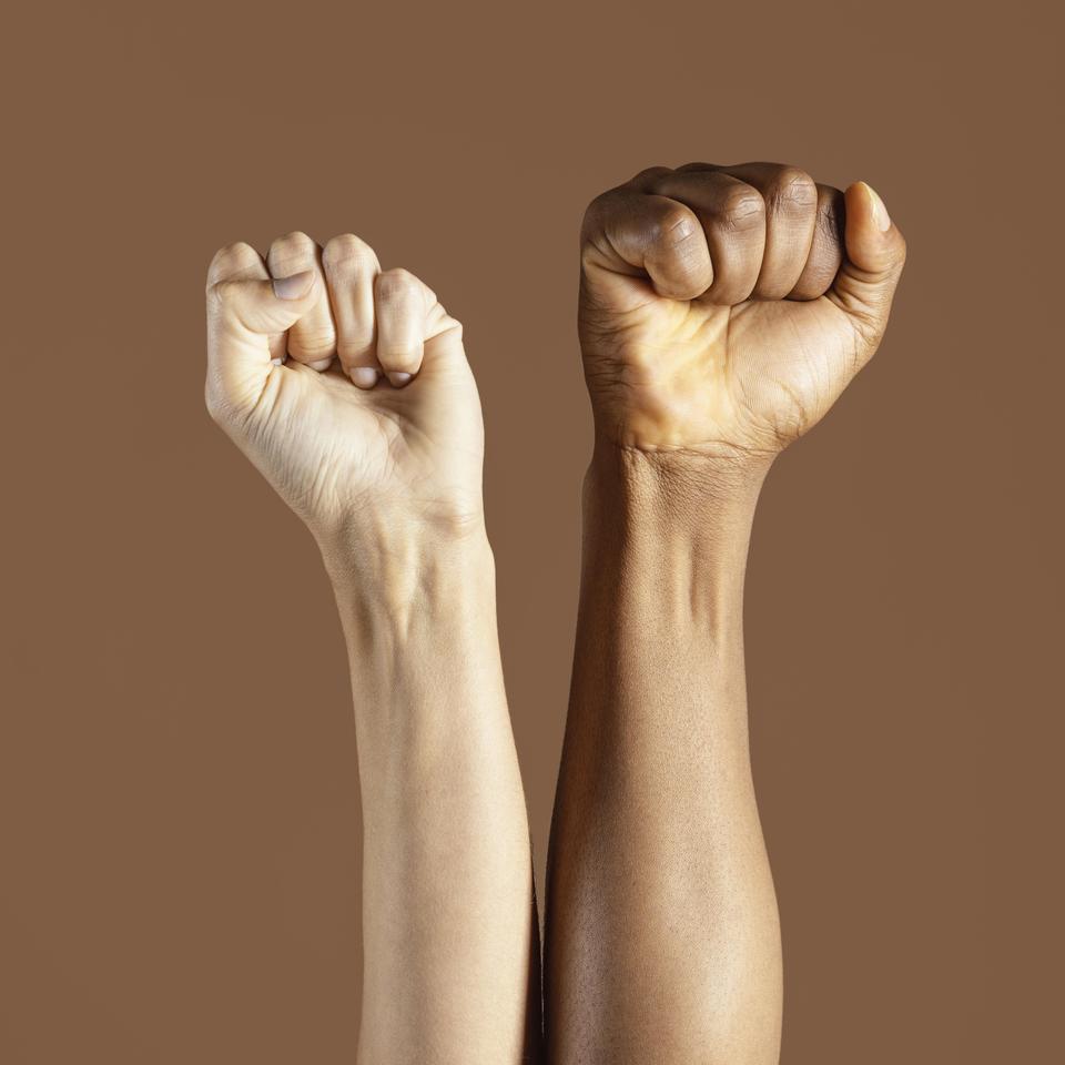 Curso de Formação para Bancas de Heteroidentificação será realizado nesta terça-feira, 16