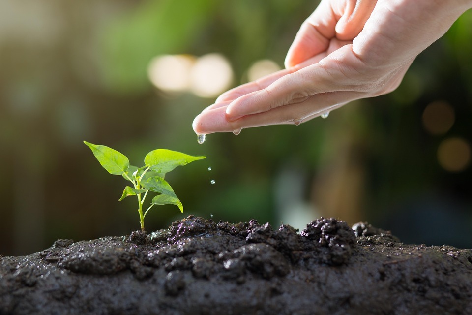 UFT abre consulta pública sobre Política de Governança Socioambiental