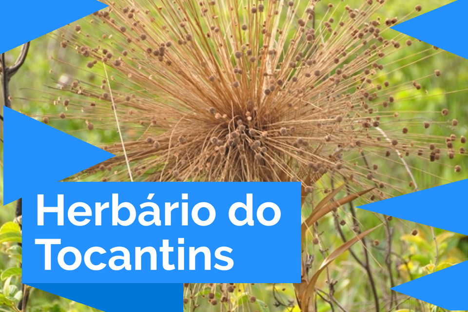 Herbário do Tocantins