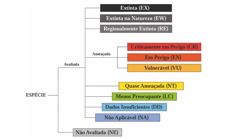 Categorias de ameaças da IUCN. Fonte: IUCN (2022)