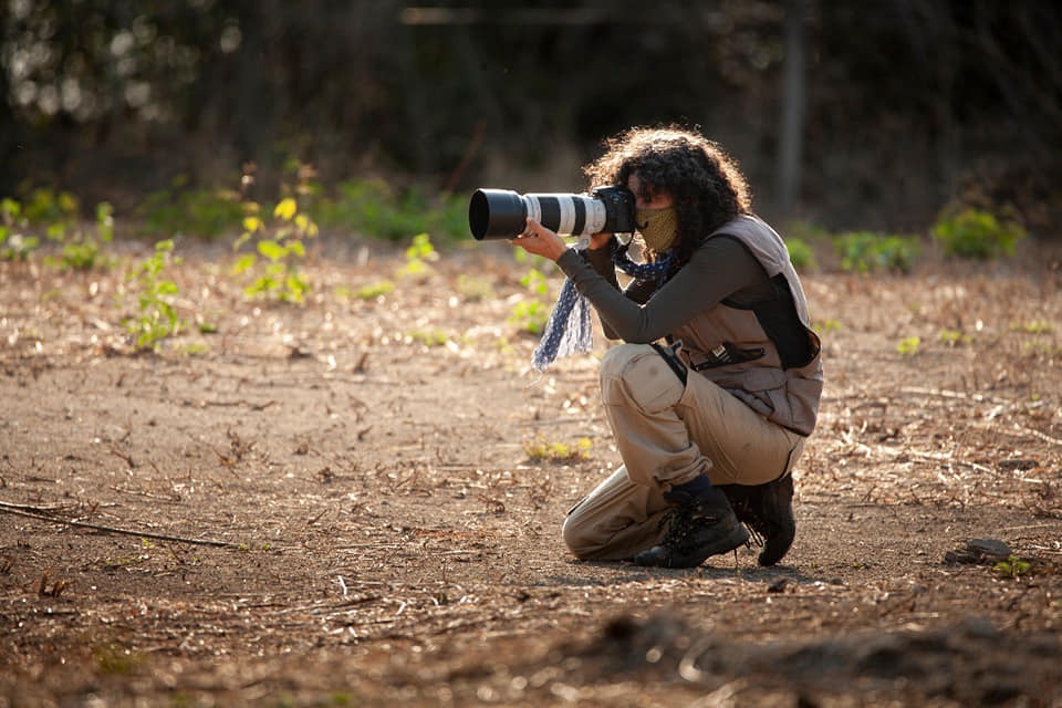 Docente da UFT integra obra inédita sobre aves migratórias no Pantanal lançada durante conferência internacional