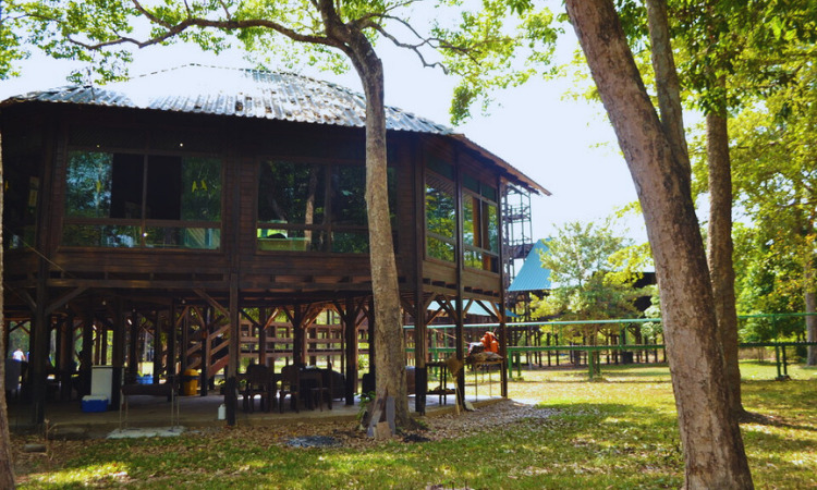 Centro de Pesquisa Canguçu possui uma das estruturas mais bonitas e melhor localizadas do Cerrado e Amazônia