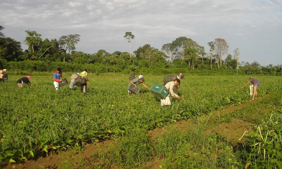 UFT divulga resultado preliminar de seleção institucional para chamada da Finep voltada à agricultura familiar