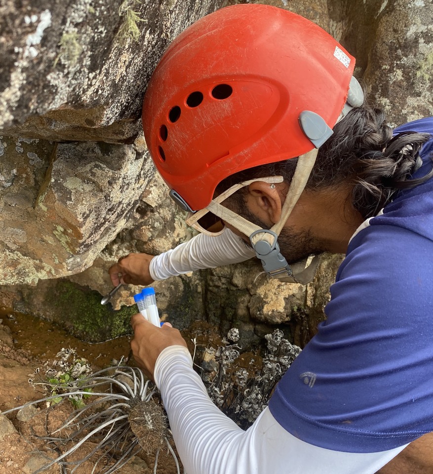2.Um mergulho na Amazônia Azul: jovem cientista da UFT participou de expedição à Ilha da Trindade (Foto: Paulo Macedo/arquivo pessoal)