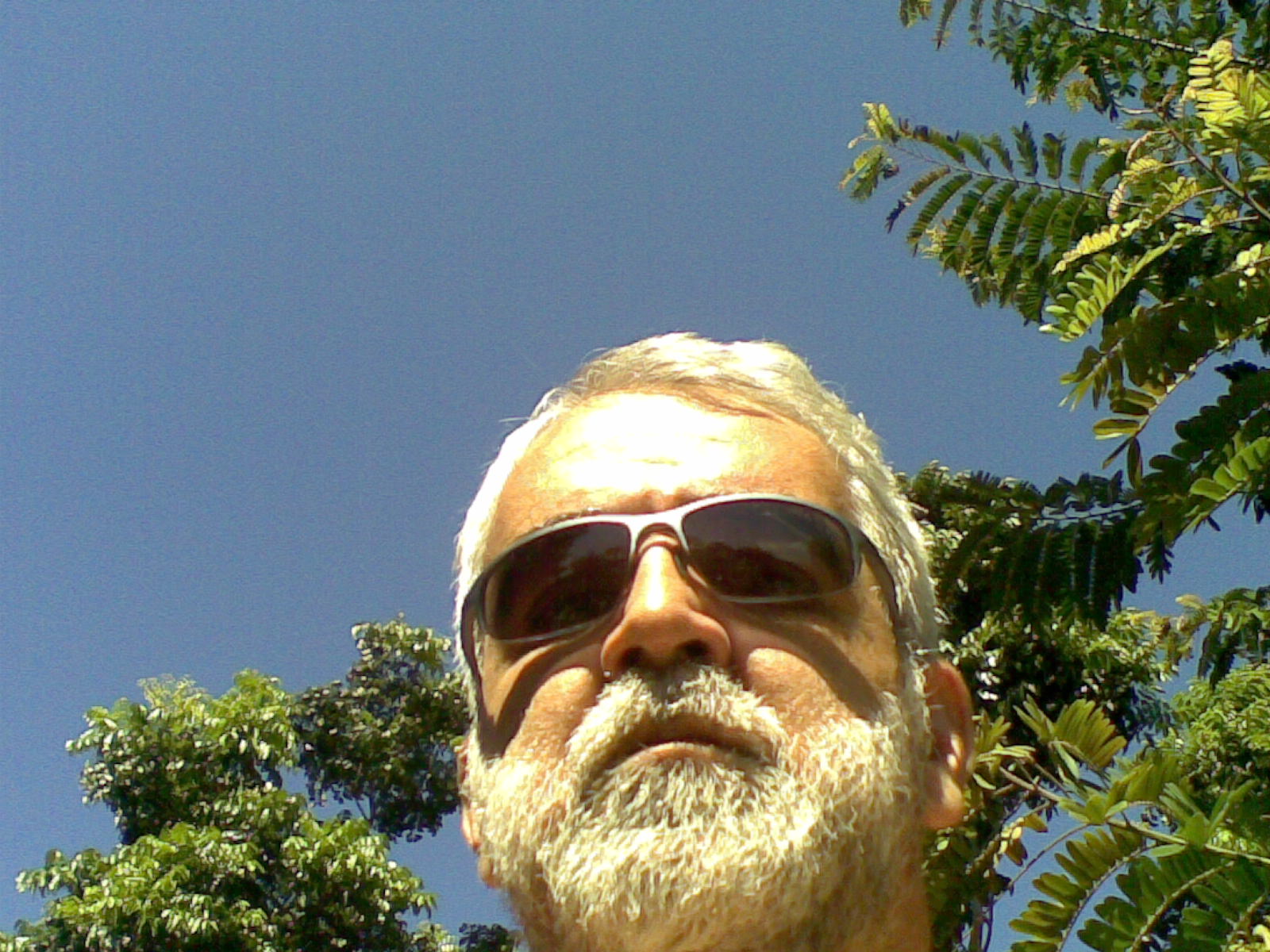 Rafael José de Oliveira