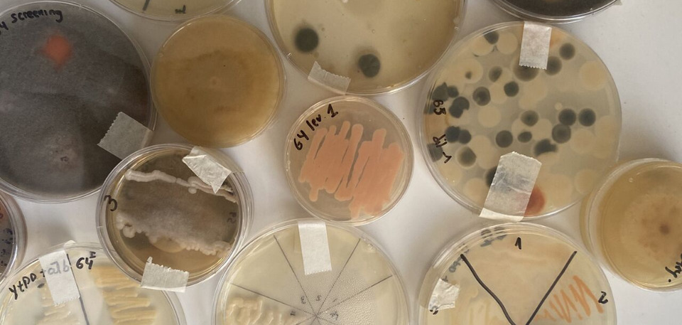 Professores da UFT ministram curso na Argentina