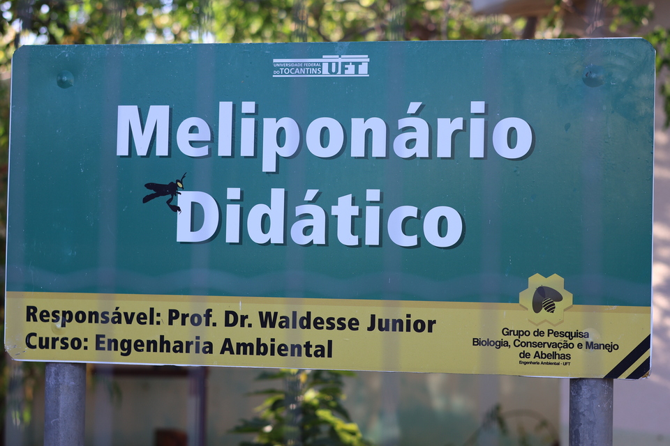 UFT reinaugura projeto de meliponicultura com abelhas sem ferrão nativas do Tocantins