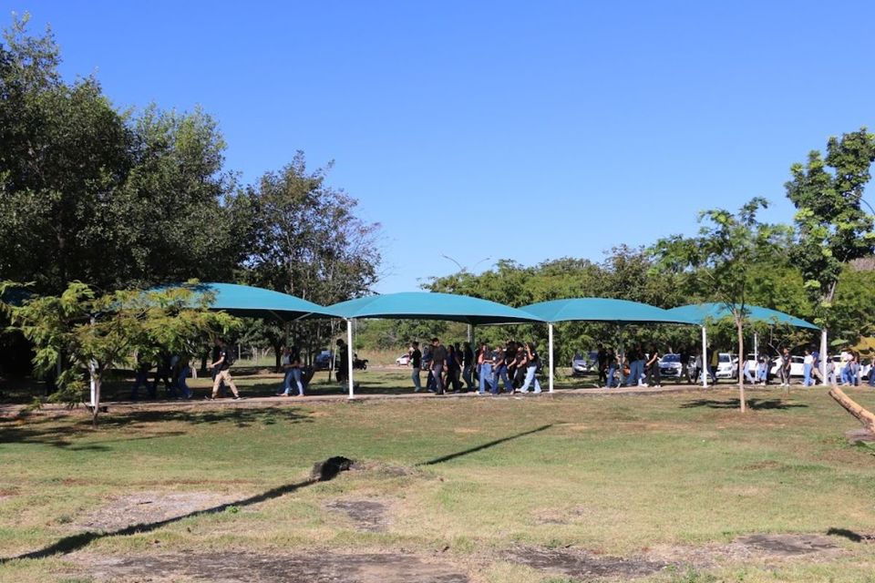 Foto mostra um grupo de estudantes caminhando sob uma cobertura com tendas verdes em uma área externa arborizada do Câmpus de Palmas da UFT, em um dia ensolarado. Ao fundo, há árvores e alguns carros estacionados.