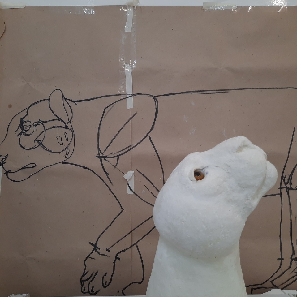 O estudo da anatomia é fundamental para a Taxidermia (Foto: Glenda Barros)