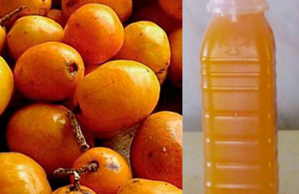 Elaboração de Bebida Fermentada à base de Suco de Cajá (Spondias mombin L.)