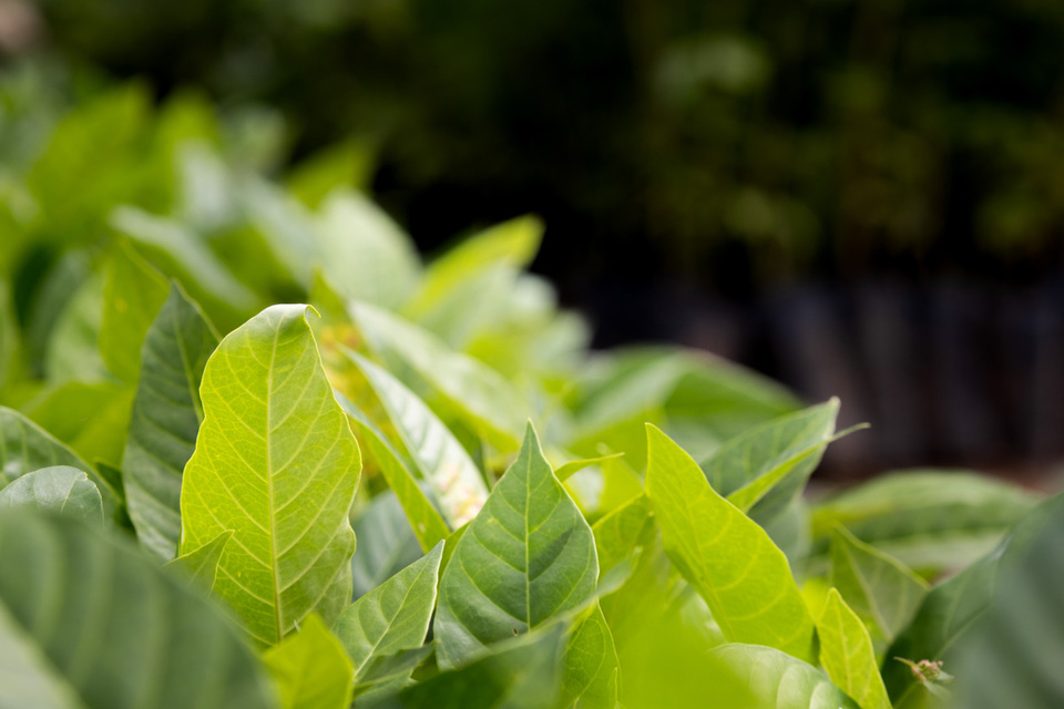 Programa de Pós-Graduação em Engenharia Ambiental abre inscrições para 2025/1