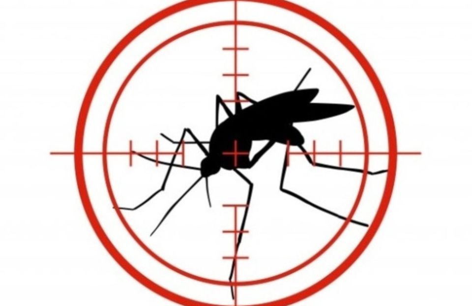 Agente terapêutico à base de Peltastes peltatus com efeito Antiviral