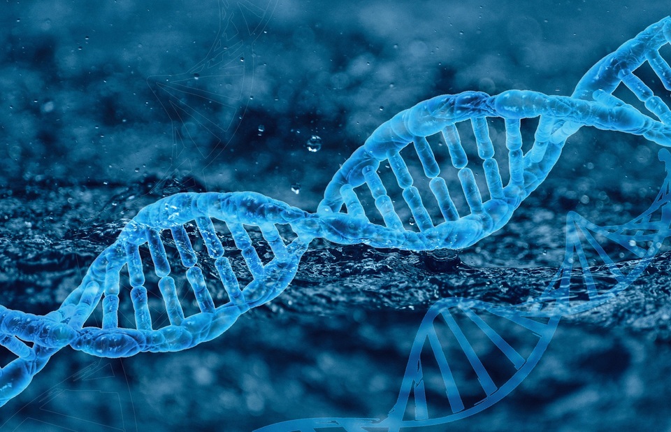 II Biotech Day traz palestrantes internacionais para evento em Gurupi