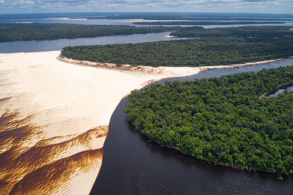 Mestrado e Doutorado em Ciências Florestais e Ambientais têm editais publicados