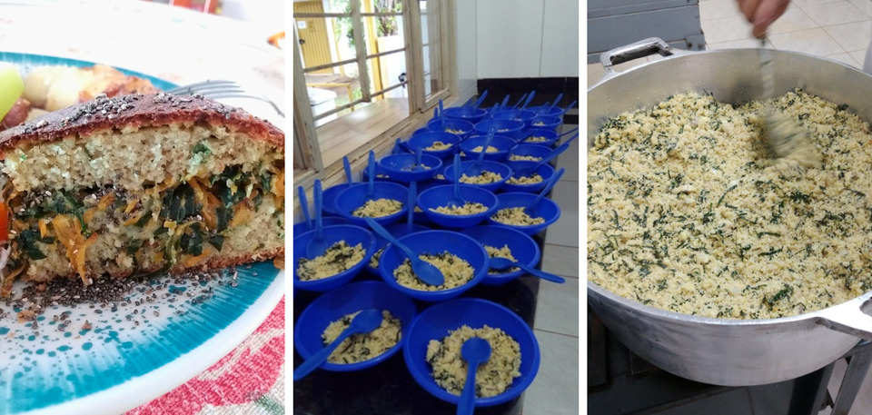 Várias receitas foram criadas com o uso de PANC rica em vitaminas, proteínas e minerais (Fotos: Arquivo Pessoal)