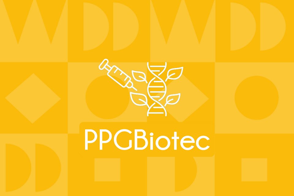 Programa de Pós-Graduação em Biotecnologia (PPGBiotec)