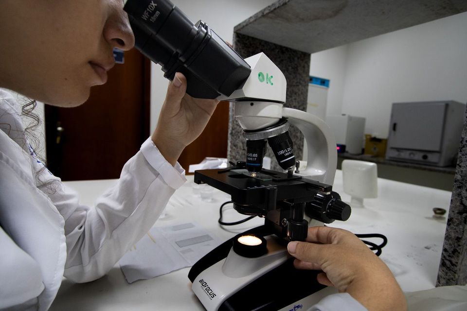 UFT divulga edital de seleção para os cursos de mestrado e doutorado em Ciência e Tecnologia de Alimentos (PPGCTA)